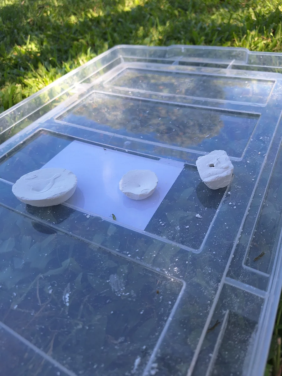 Solid treatment block samples in different shapes on a clear surface